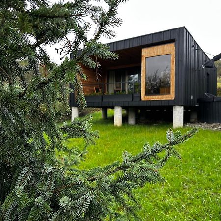 Brown Deer - Z Sauna Na Tarasie, Jacuzzi I Widokiem Na Gory - By Deer Hills Luxury Apartments Kocon Exterior foto